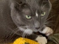 (Tuukka Raskal) What a&nbsp;name!