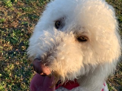 (Lacy) Young and&nbsp;wild…