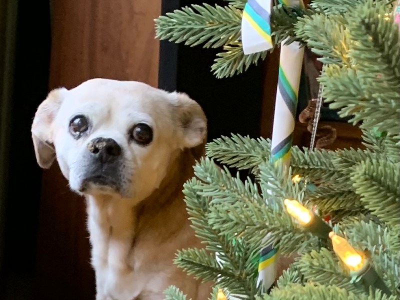 (Miles) Forever in my&nbsp;heart…